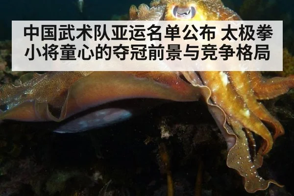 中国武术队亚运名单公布 太极拳小将童心的夺冠前景与竞争格局